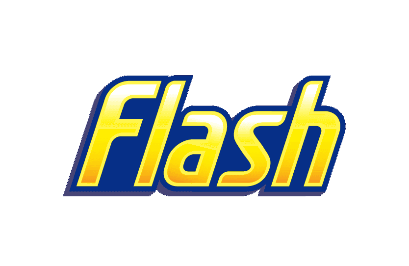 Flash logo